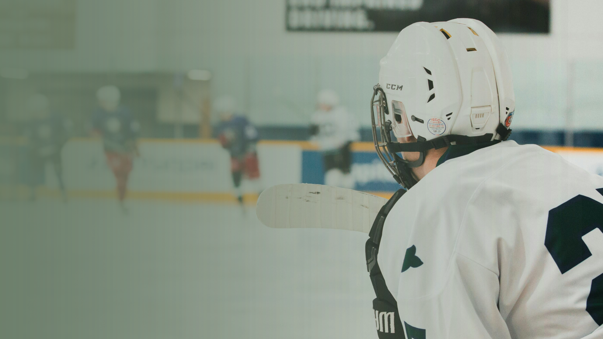 How Sportscorp Travel Transformed Team Email Management with Emailgistics
