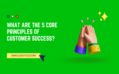 What Are The 5 Core Principles Of Customer Success?